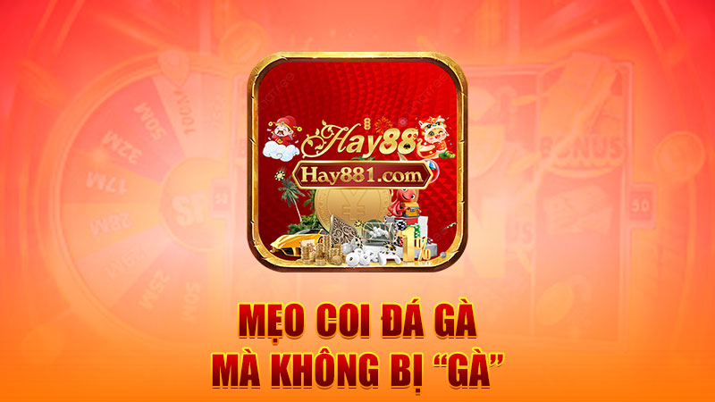 Mẹo coi đá gà mà không bị “gà”